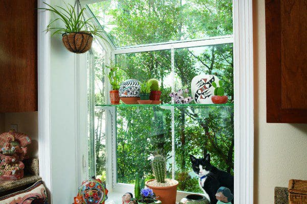 Garden window with plants — Central Florida home